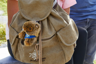 Großglockner Rucksack 1