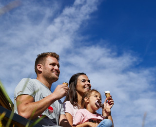 Cotton T-shirt in grey with stylish Grossglockner panorama print