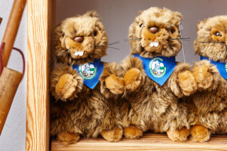 Plush marmot with blue neckerchief, approx. 17 cm tall